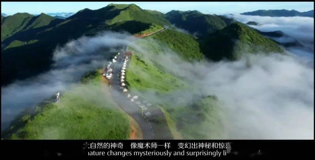 注意躲避
